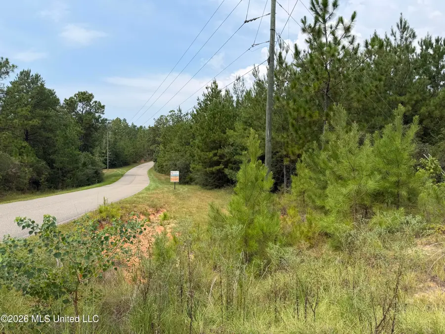 W Woodland Drive, Wiggins, MS 39577 - #2