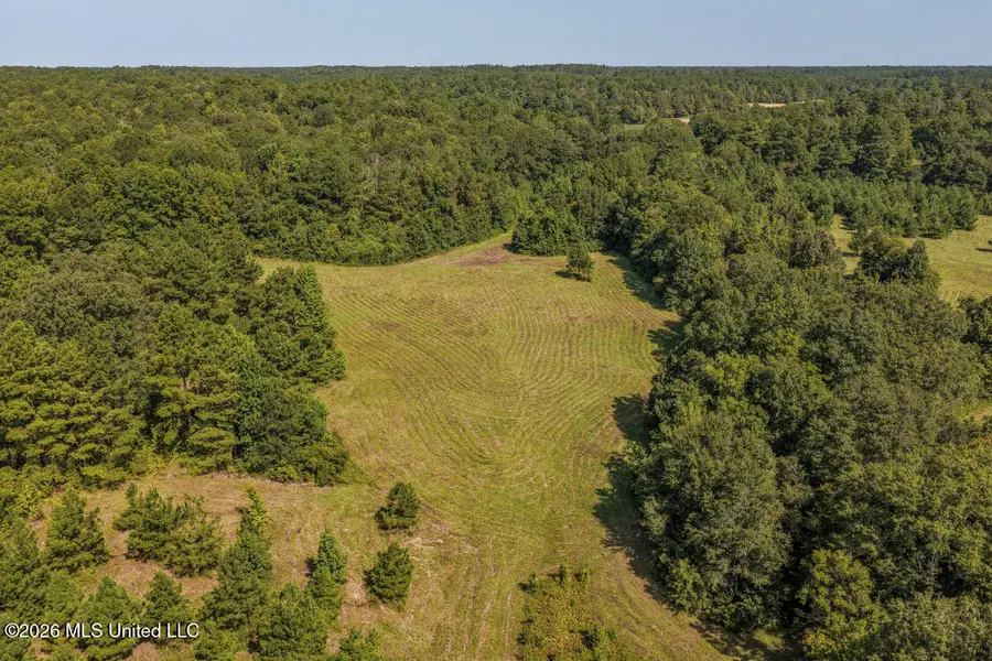 5056 Bethesda Road, Crystal Springs, MS 39059 - #2