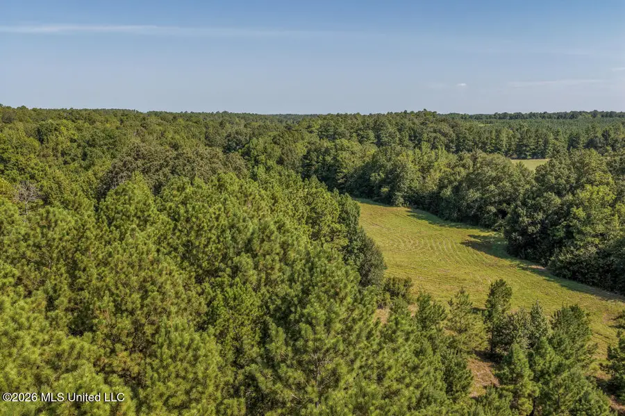 5056 Bethesda Road, Crystal Springs, MS 39059 - #3