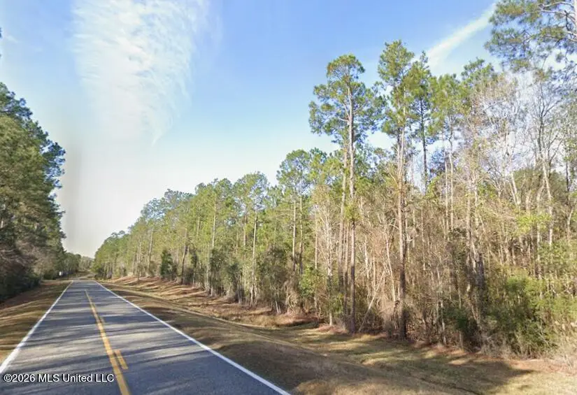 15 Acres Bethel Road, Saucier, MS 39574 - #3