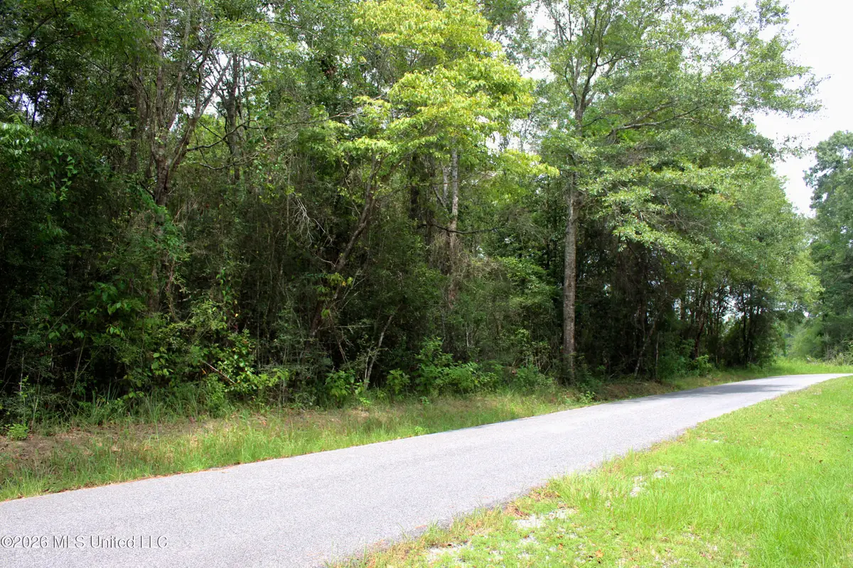 Moddie K Road, Lucedale, MS 39452 - #1