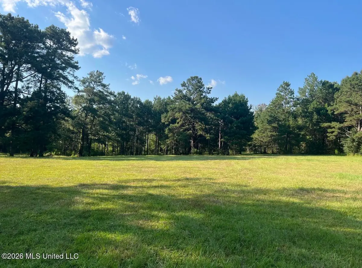 15528 Broadus Road, Saucier, MS 39574 - #1