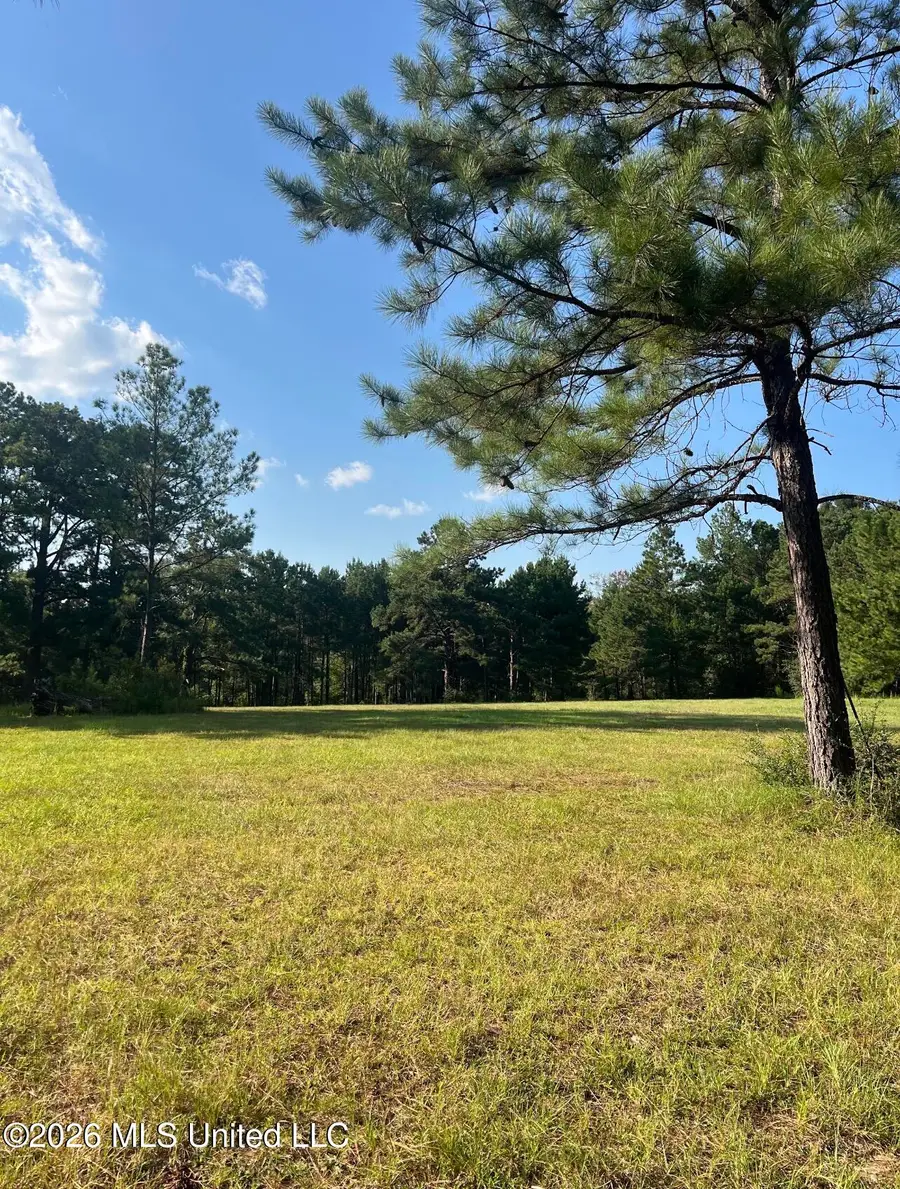 15528 Broadus Road, Saucier, MS 39574 - #2