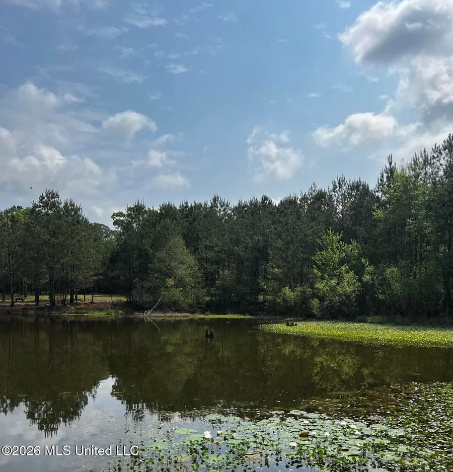 15528 Broadus Road, Saucier, MS 39574 - #3