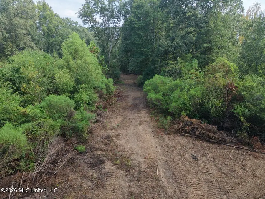 1154 Old Highway 33, Centreville, MS 39631 - #2