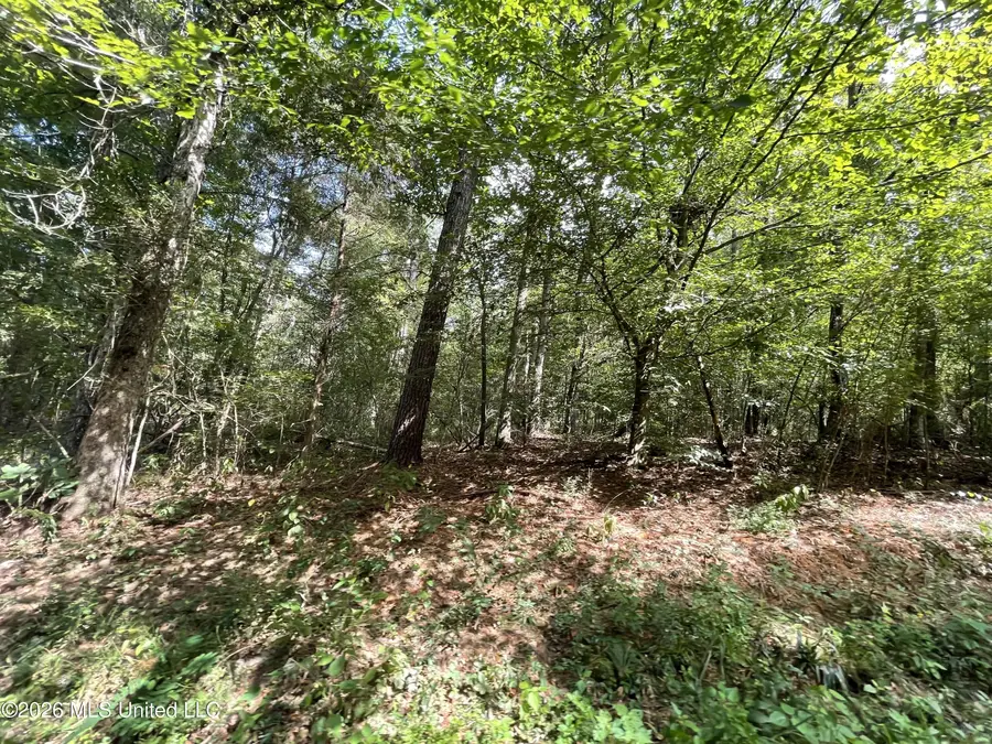 Roberts Lane, Wesson, MS 39191 - #3