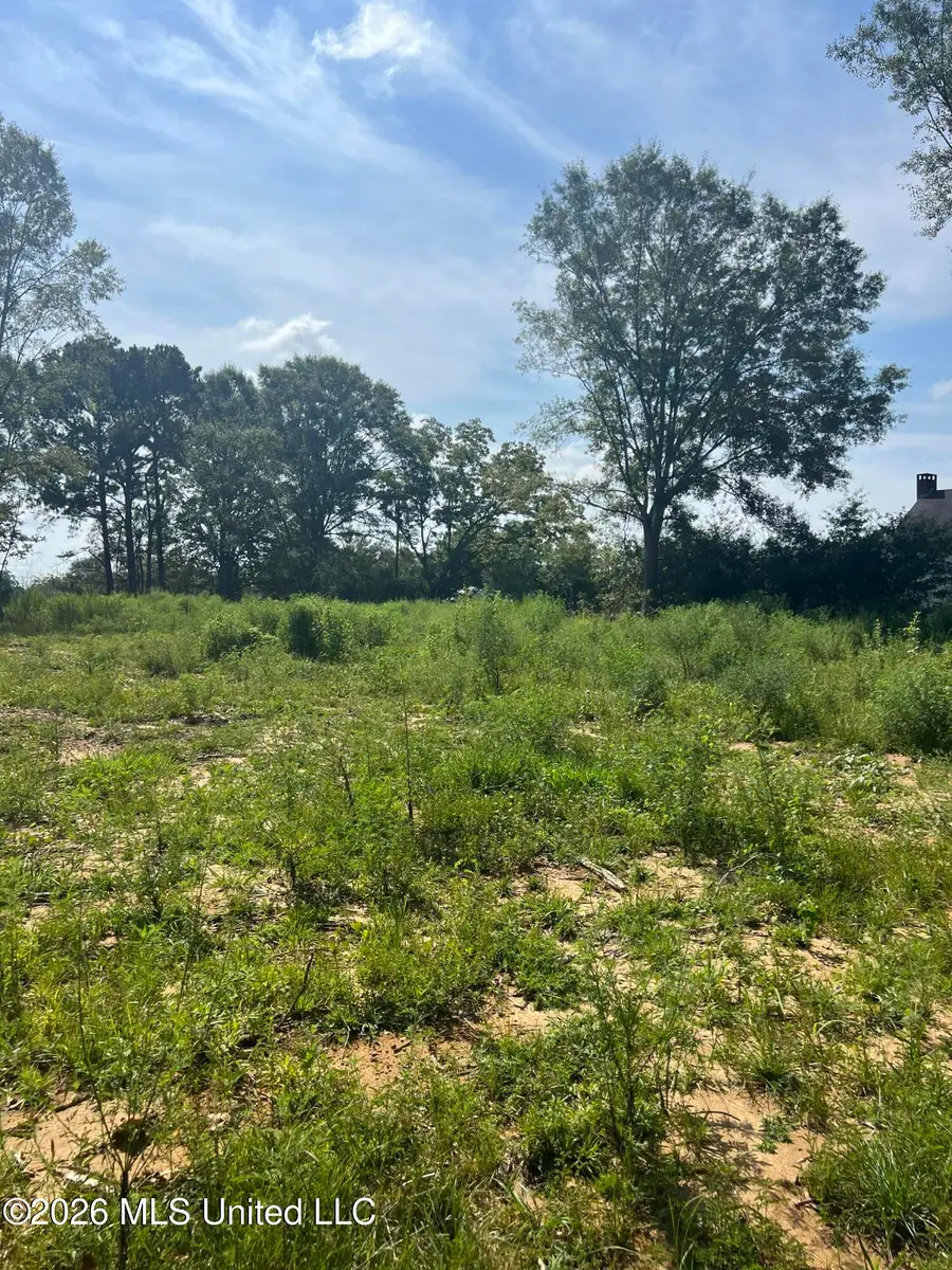 18029 Pecan Court, Saucier, MS 39574 - #2