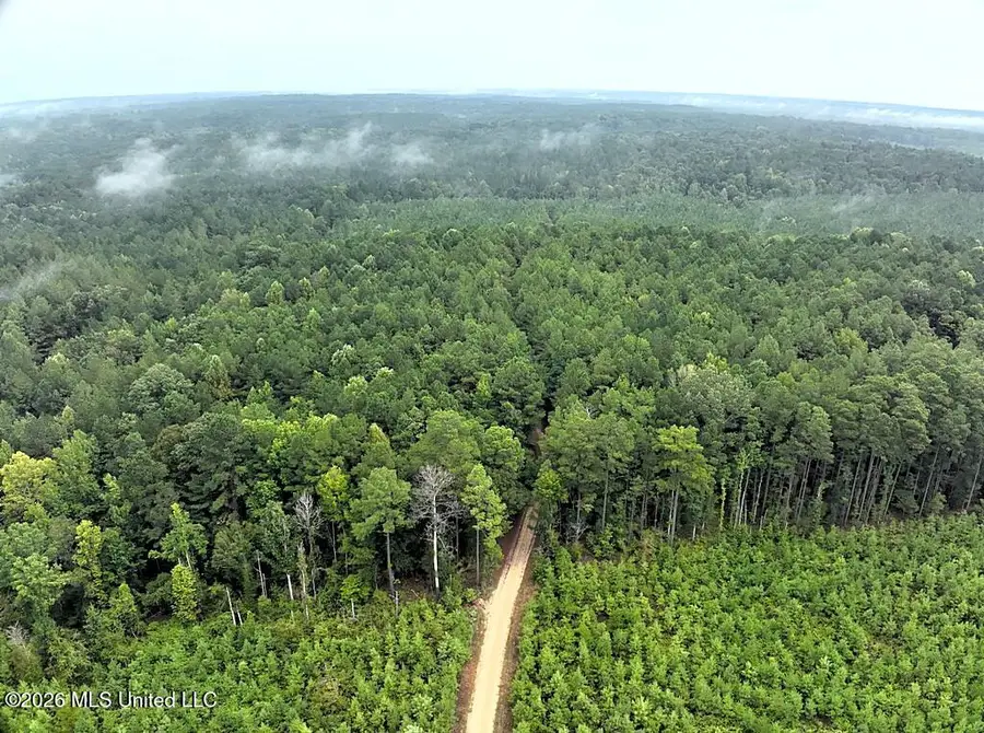 John Chambers Road, Roxie, MS 39661 - #3