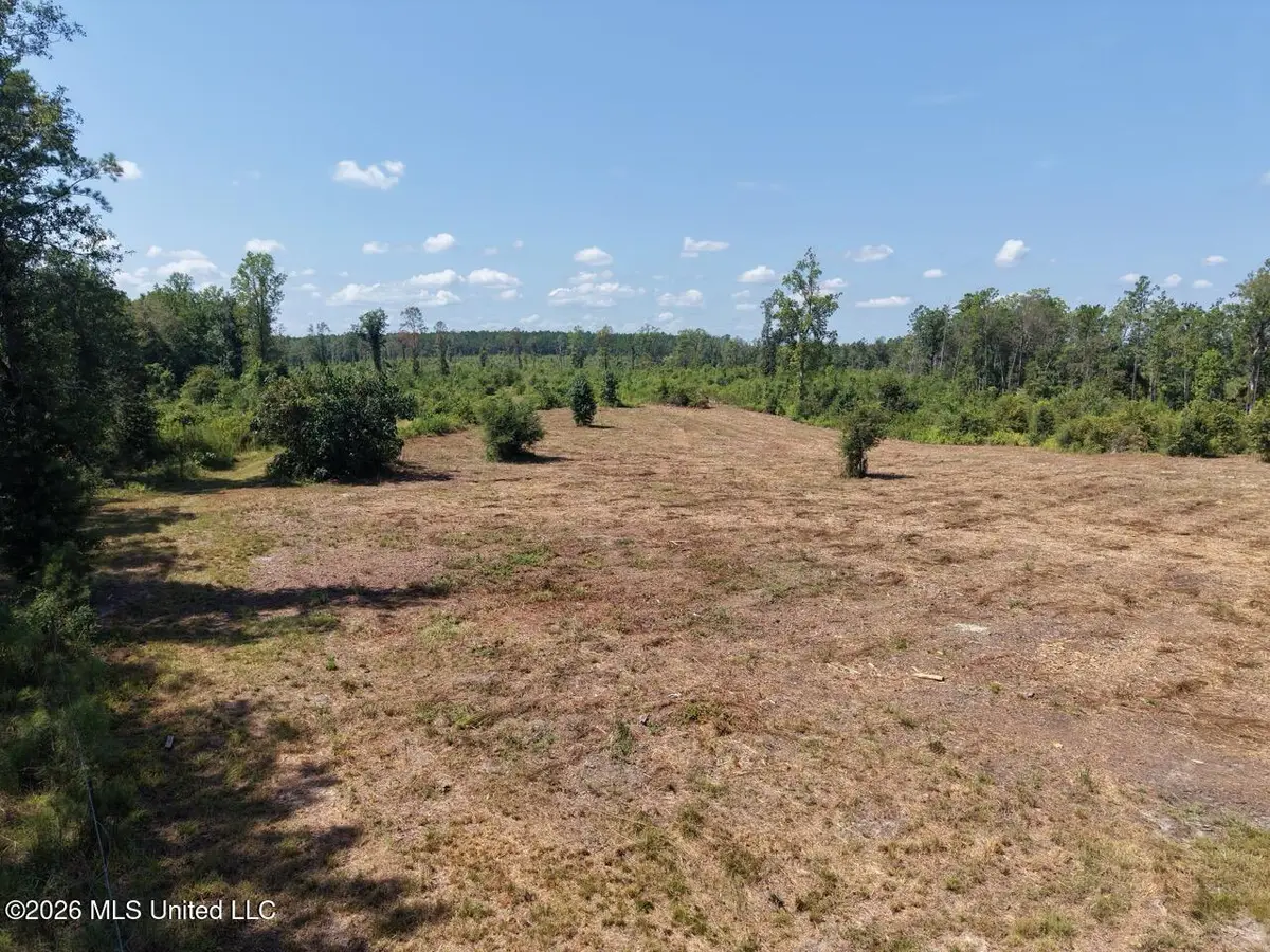 3 Dewitt Lane, Bogalusa, LA 70427 - #1