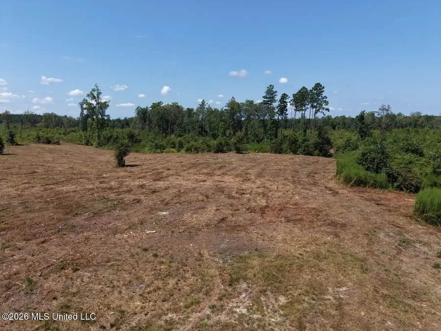 3 Dewitt Lane, Bogalusa, LA 70427 - #2