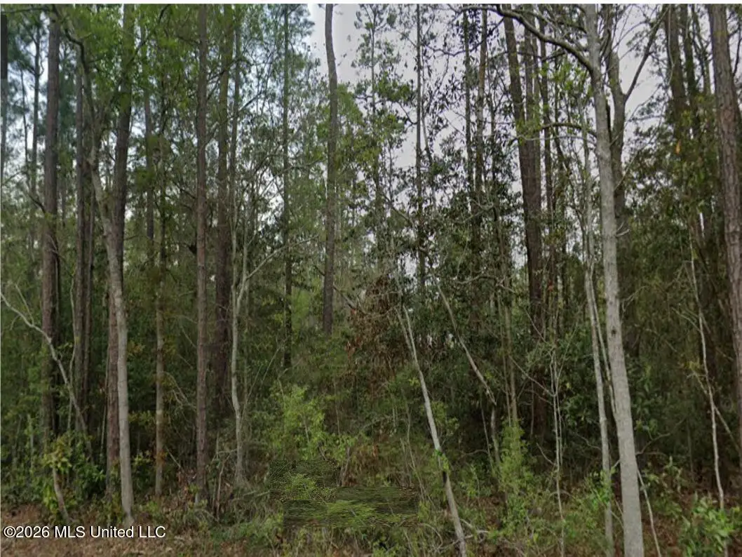 Erie Street, Bay Saint Louis, MS 39520 - #1