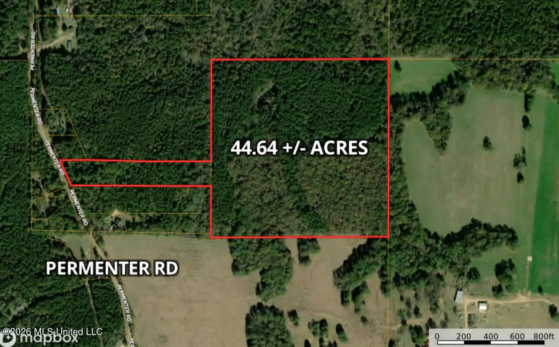 Permenter Road, Carthage, MS 39051 - #1