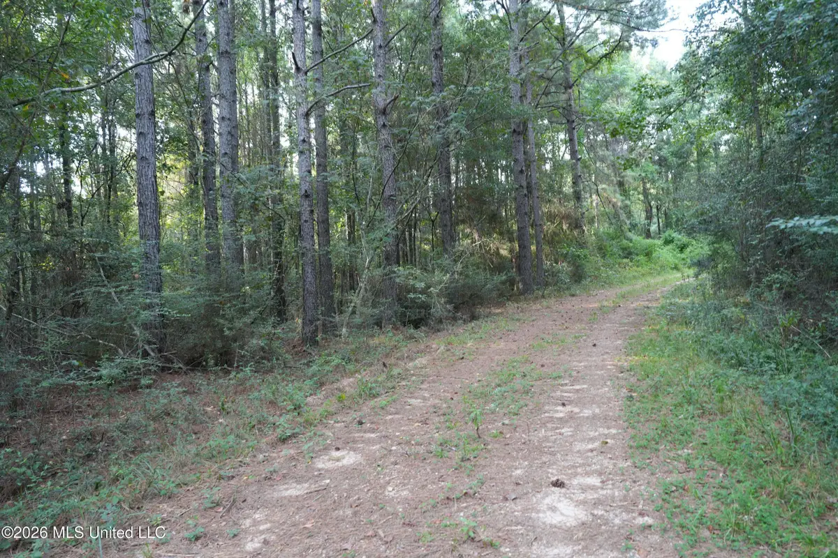 County Road 16, Louin, MS 39338 - #1