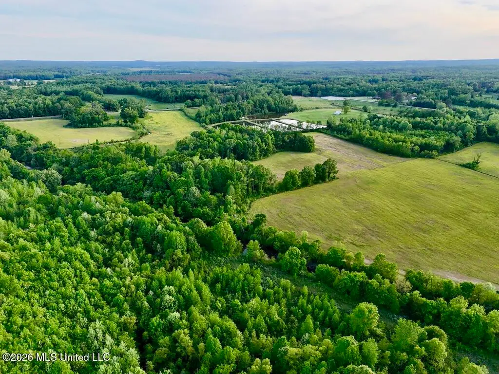 00001 County Road 204, Tiplersville, MS 38674 - #1