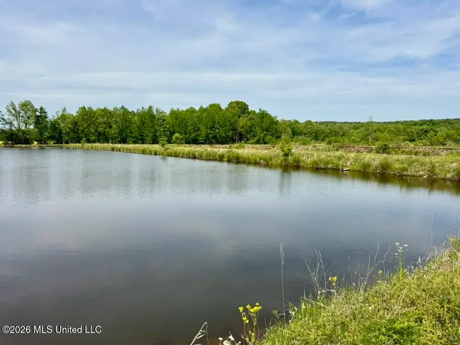 00001 County Road 204, Tiplersville, MS 38674 - #3