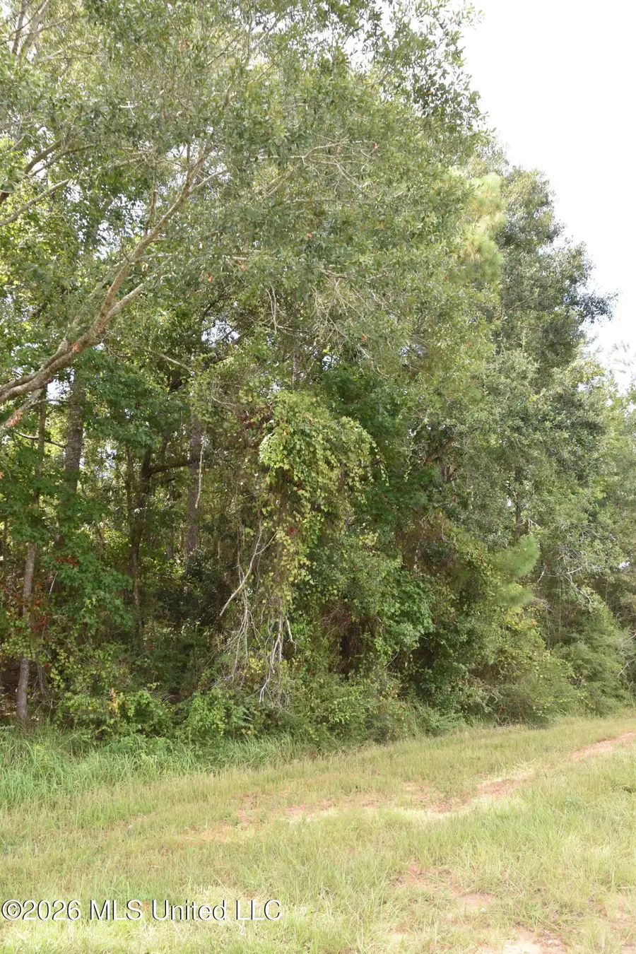Lobouy Road, Pass Christian, MS 39571 - #3