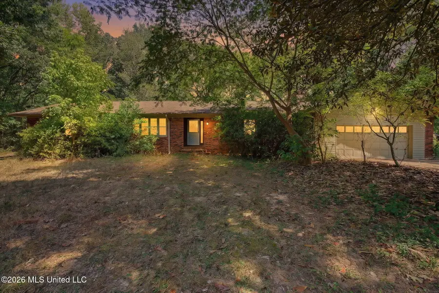 3206 Fogg Road, Nesbit, MS 38651 - #3