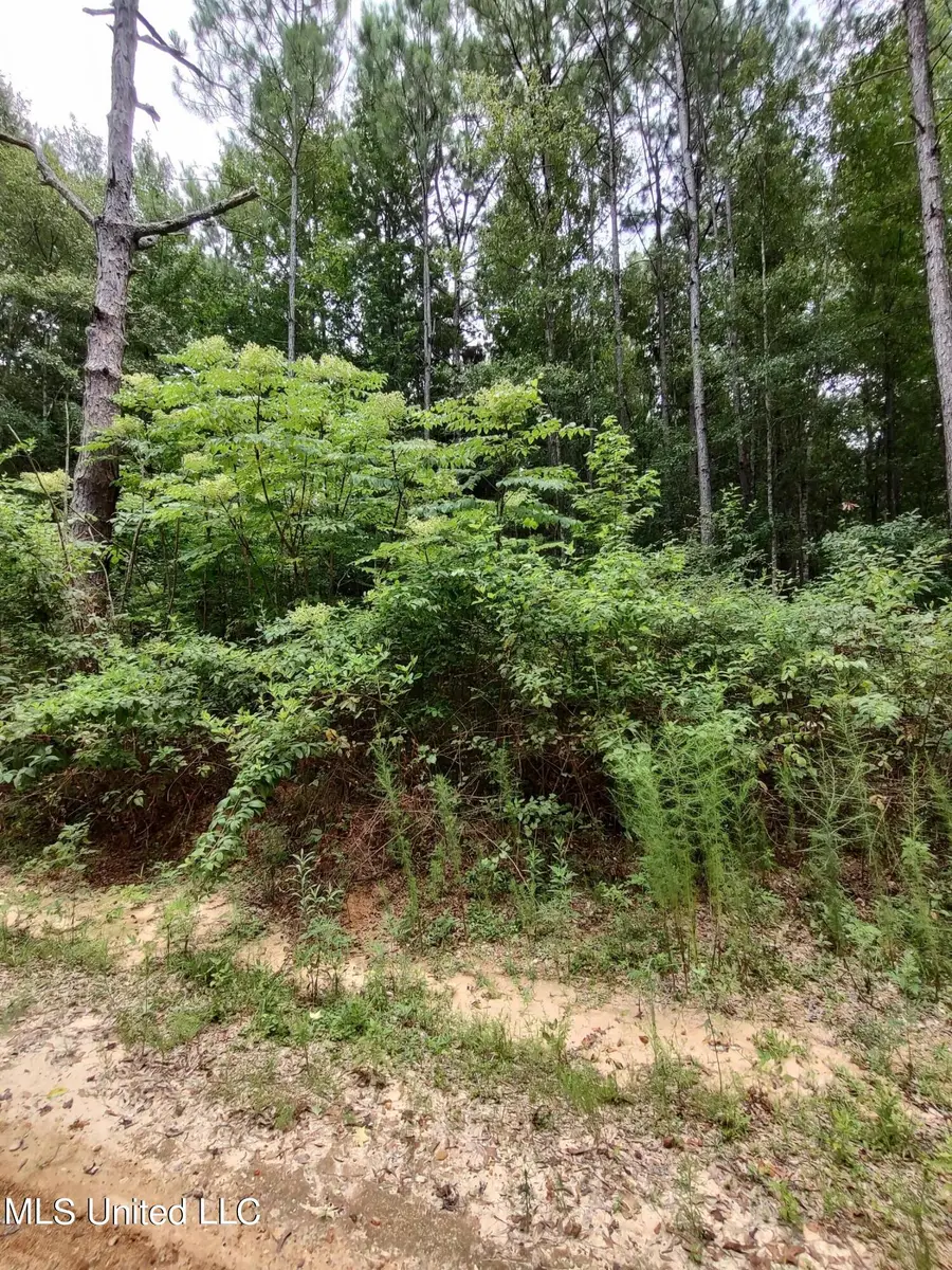 Lakeshore Drive, Lumberton, MS 39455 - #3