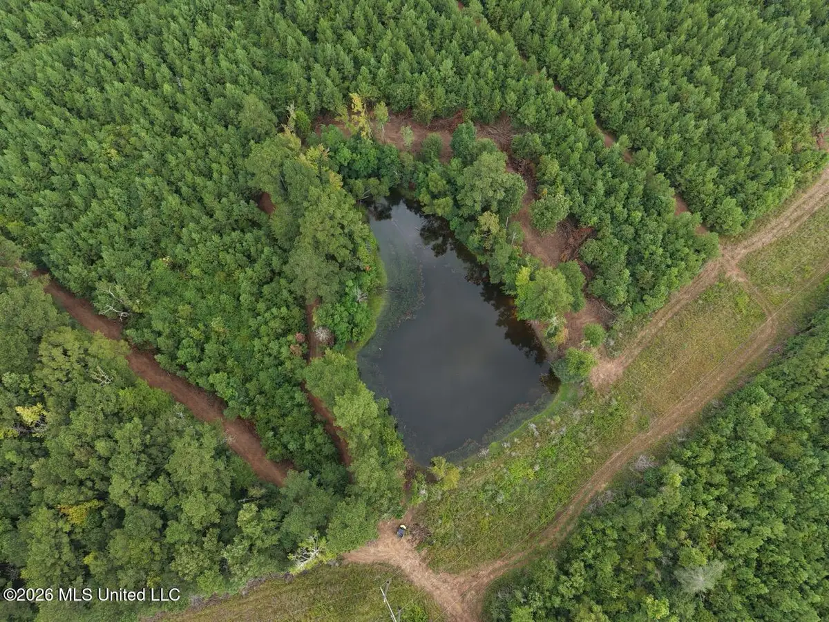 11852 Hwy 24, Centreville, MS 39631 - #1