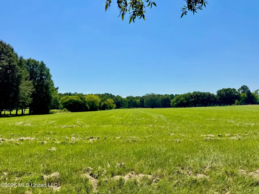 0006 Green Acres Drive, Canton, MS 39046 - #3