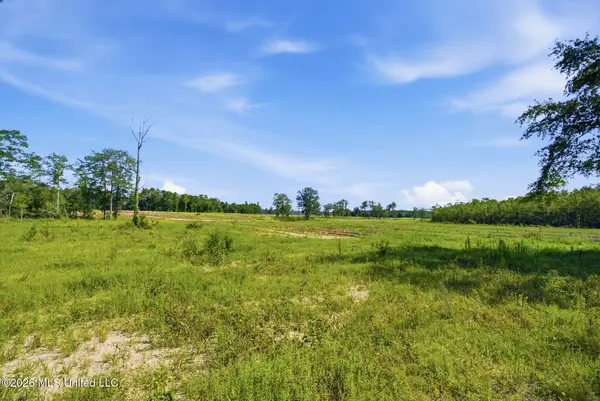 165.44 Ac Baxter Avenue, Lucedale, MS 39452