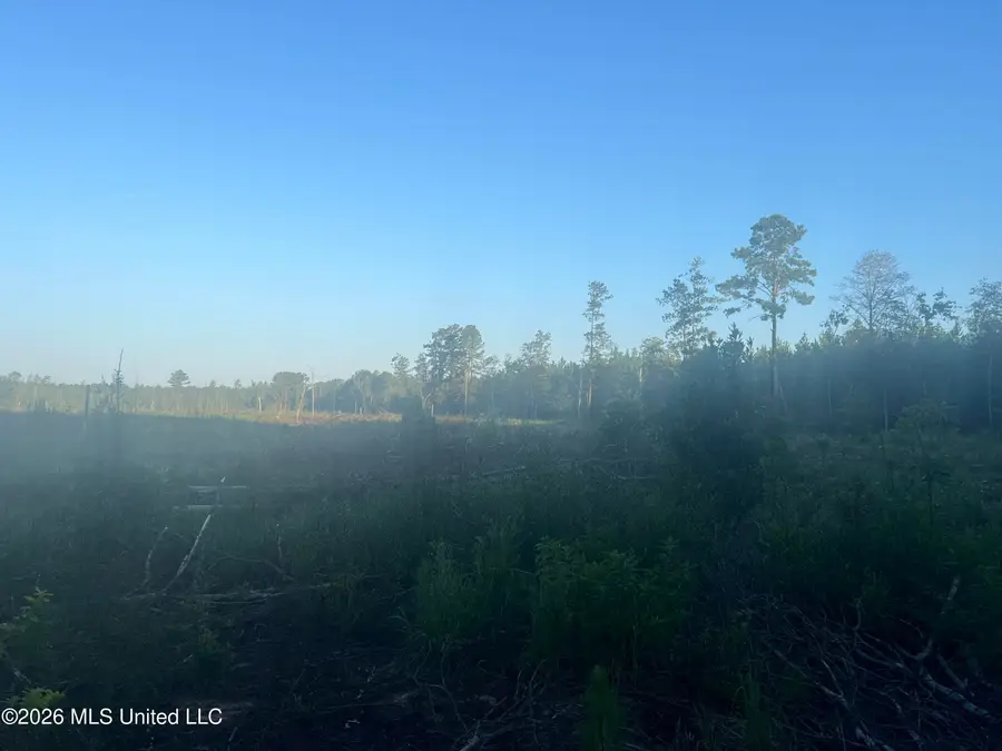 Vernal River, Lucedale, MS 39452 - #3