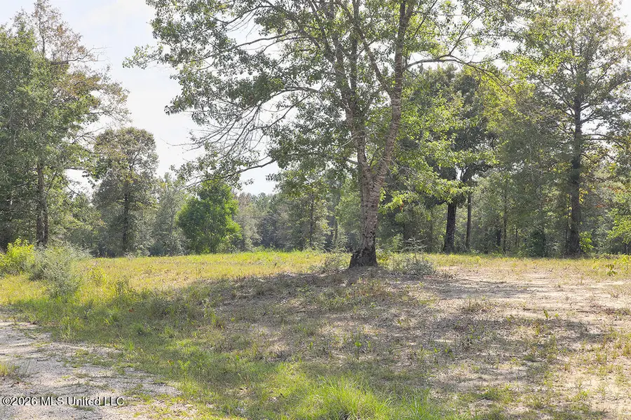 14481 E Wortham Road, Saucier, MS 39574 - #3