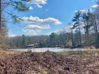 Lot 12 Turkey Creek Road, Natchez, MS 39120 - #1