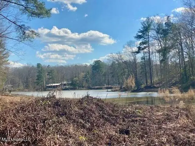 Lot 12 Turkey Creek Road, Natchez, MS 39120 - #3