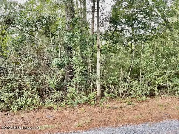Flurry Drive, Perkinston, MS 39573