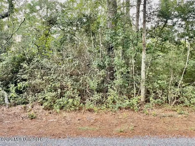 Flurry Drive, Perkinston, MS 39573 - #2