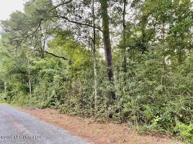 Flurry Drive, Perkinston, MS 39573 - #3