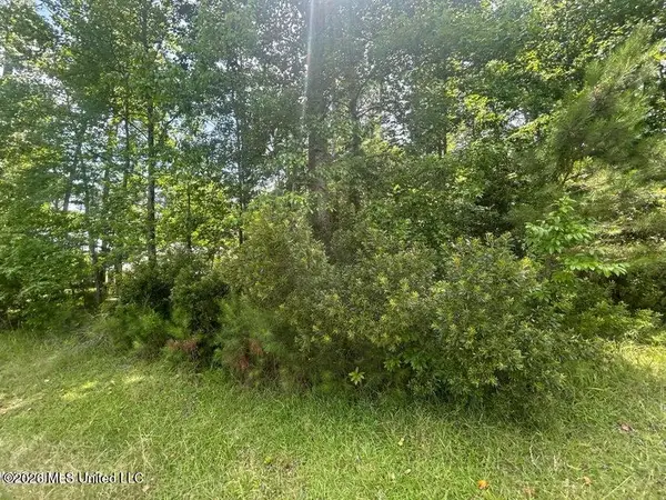 00 Pine Tree Road, Pachuta, MS 39347