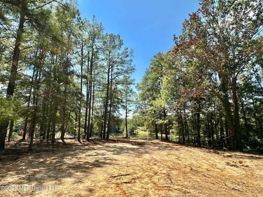 00 Race Track Road, West, MS 39192 - #2