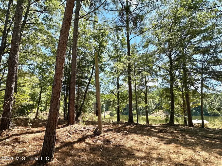 00 Race Track Road, West, MS 39192 - #3