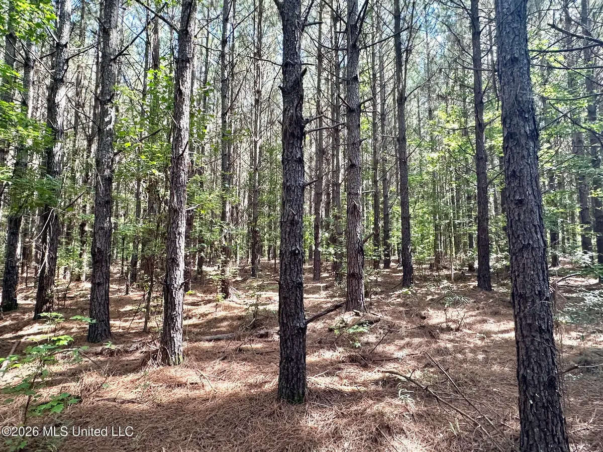 1 Dry Creek Road, Magee, MS 39111 - #1