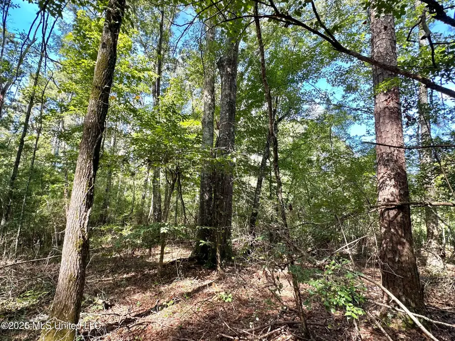 3 Dry Creek Road, Magee, MS 39111 - #3