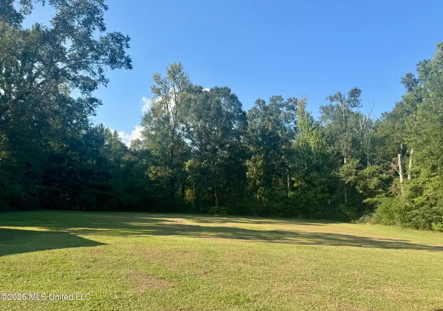 308 Kramer Avenue, Magnolia, MS 39652 - #2