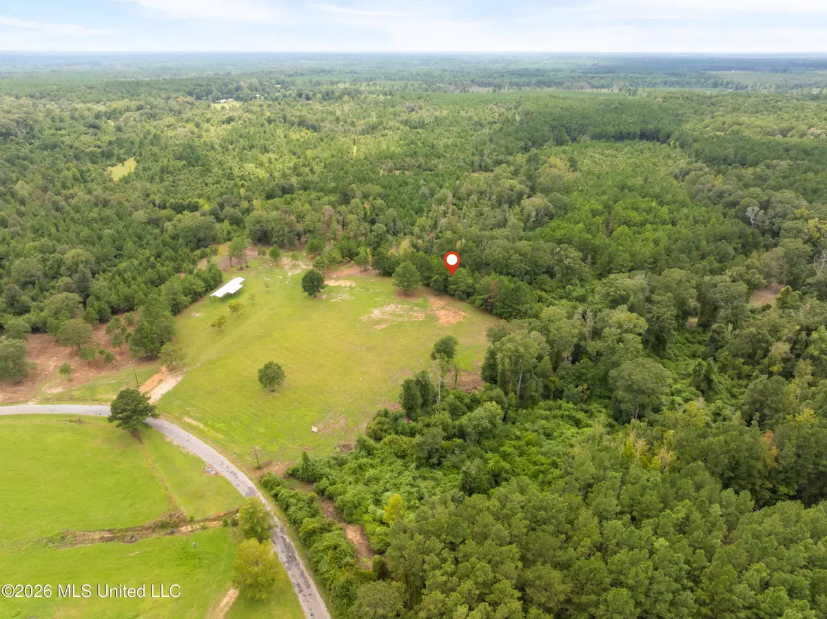2705 Pilgrims Rest Road, Magnolia, MS 39652 - #1