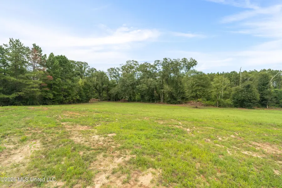 2705 Pilgrims Rest Road, Magnolia, MS 39652 - #2