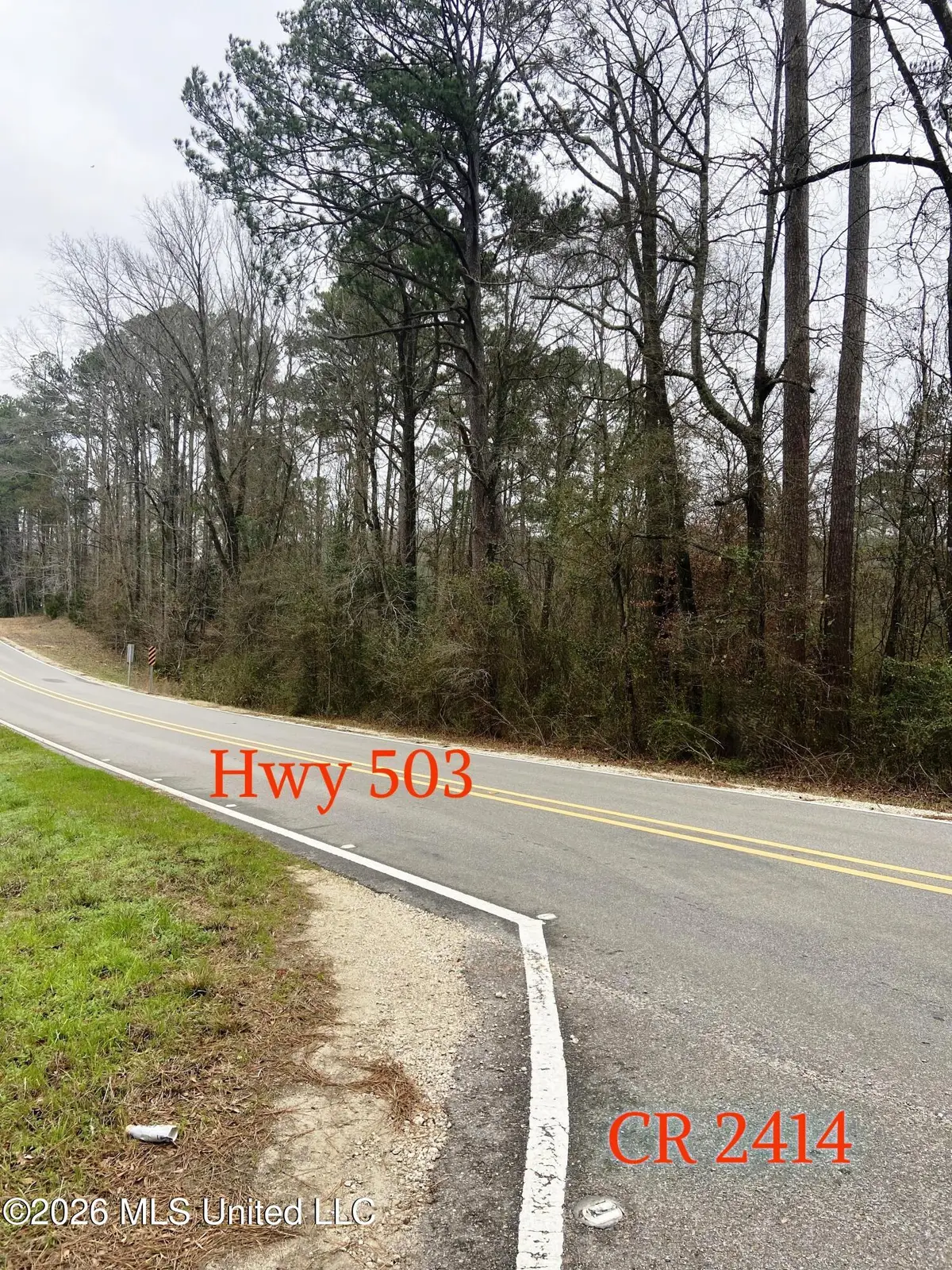 NE Hwy 503, Rose Hill, MS 39356 - #1