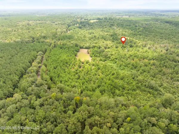 2705 Pilgrims Rest Road, Magnolia, MS 39652