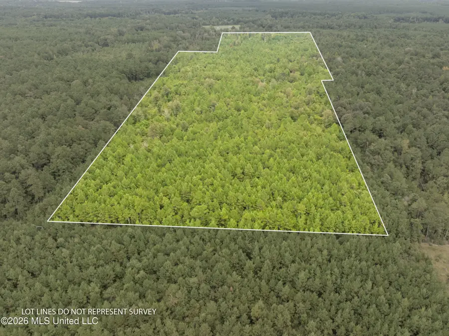 2705 Pilgrims Rest Road, Magnolia, MS 39652 - #2