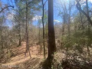 Turkey Creek Road, Natchez, MS 39120 - #2