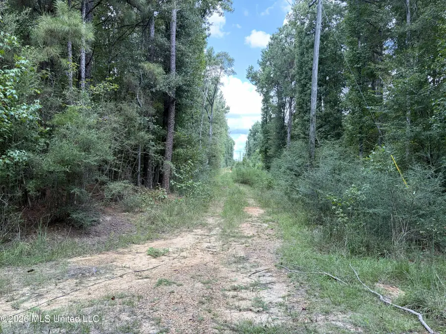 1059 Candy Lane, McComb, MS 39648 - #2