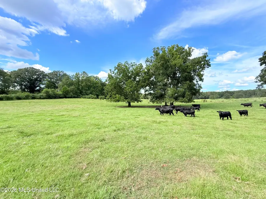 Tbd 1 Montgomery Road, Bogue Chitto, MS 39629 - #2