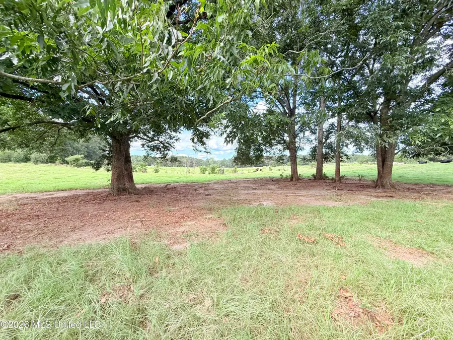 Tbd 1 Montgomery Road, Bogue Chitto, MS 39629 - #3