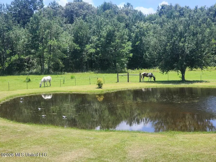 88 Compton Ranch Road, Poplarville, MS 39470 - #3