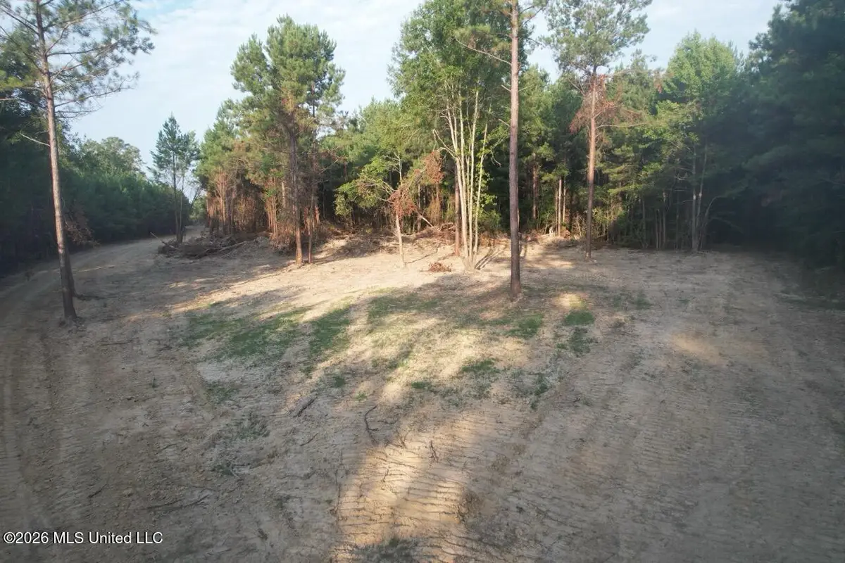 5 Old Oldenburg Road, Meadville, MS 39653 - #1