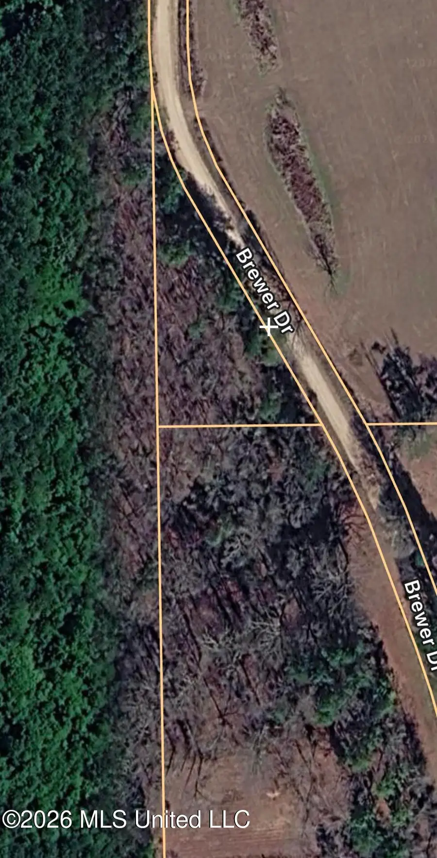 Brewer Drive, Forest, MS 39074 - #2